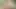 hot  png kwap xhamster 2021