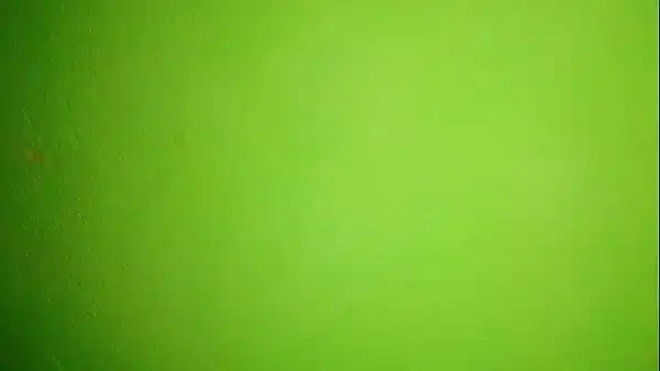 Bangla hotel room sex