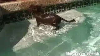 Carly Parker having a good time on the pool