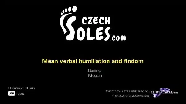 Czech dizi