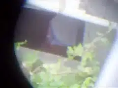 De calcinha
