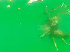 Gostosa com bucetinha do lado de fora