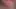 Layla Ray Aka Charlie Rae’s Audition – Round One