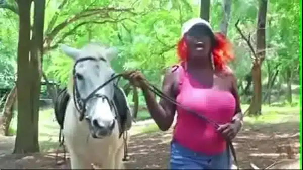 Porn track