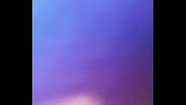 Xvideos