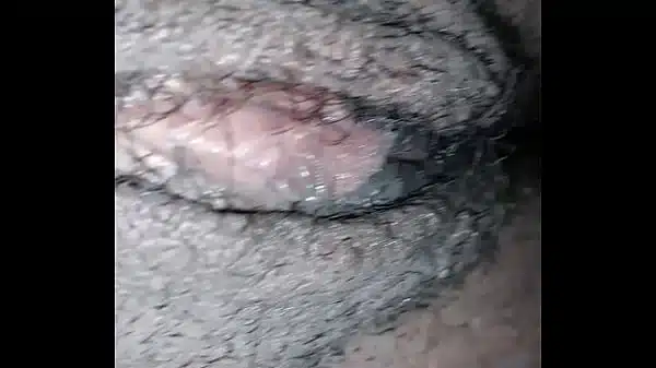 Xvideos