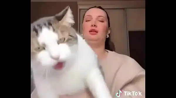 Xxnx