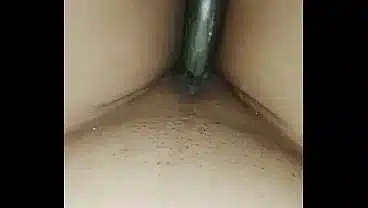 Bangladeshi girl with begun brinjal sex video
