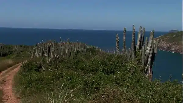 Super hot skinny bitch takes two cocks simultaneously in both her holes by a seaside