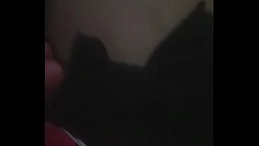 Xvideos